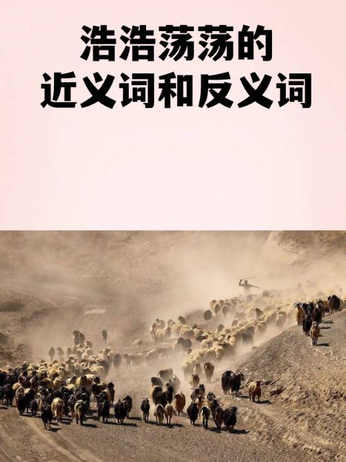 开云体育官网-2鶄&amp;;.b|)愤的简单介绍